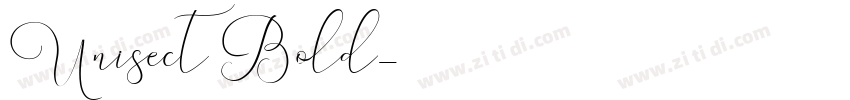 Unisect Bold字体转换